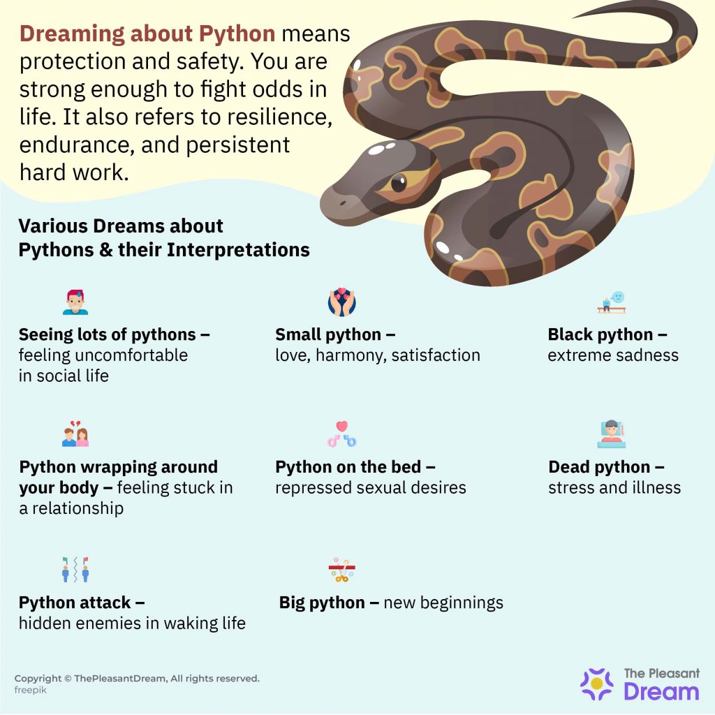 Dreaming about Pythons - Various Scenarios and their Interpretations