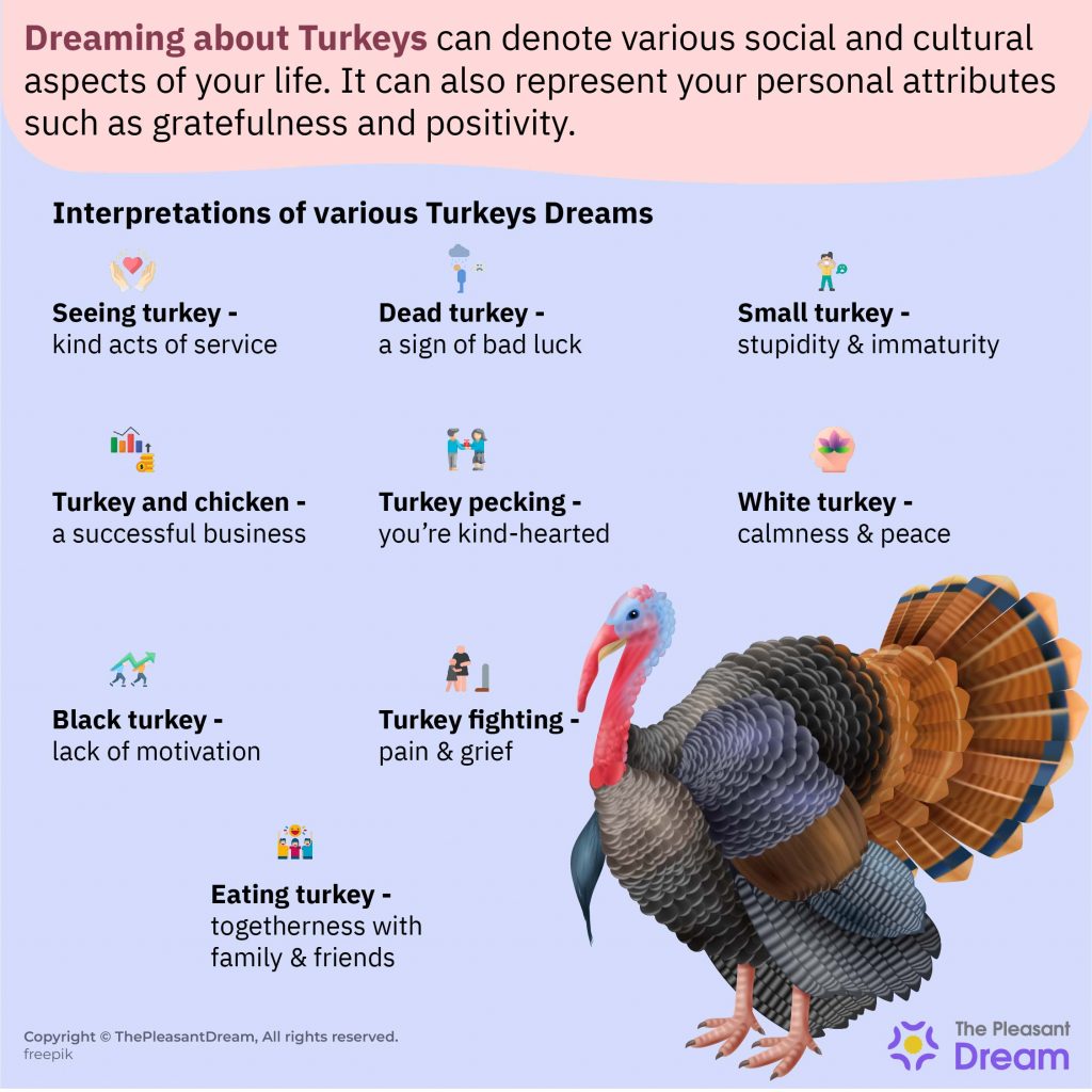 Dreaming about Turkeys – Various Types & Their Interpretations