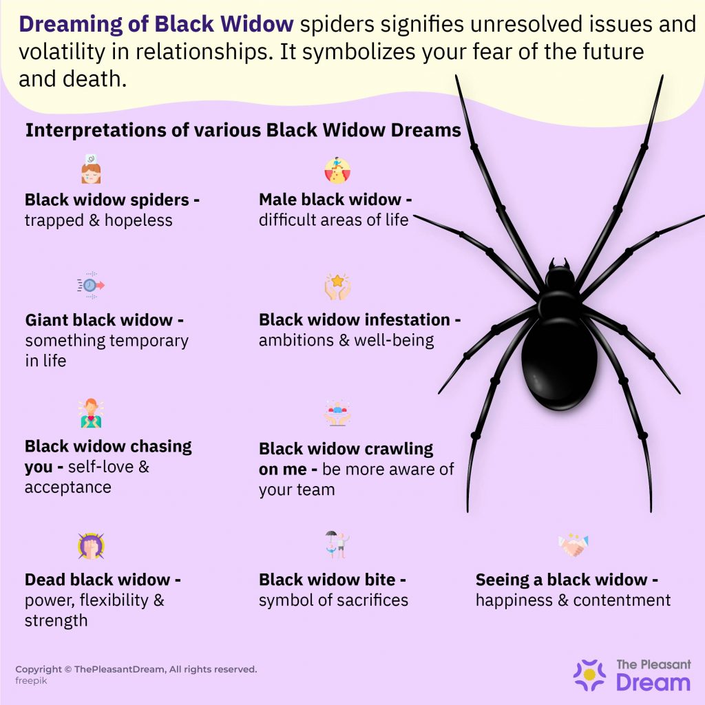 Dreaming of Black Widow – 15 Types & Their Interpretations