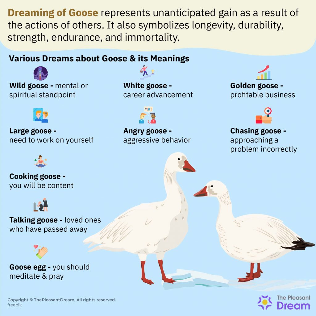 GOOSE definition and meaning