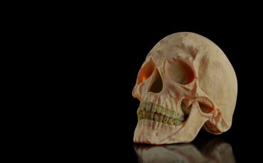 Dreaming of a Skull – A Reminder to Make Productive Use of Your Time