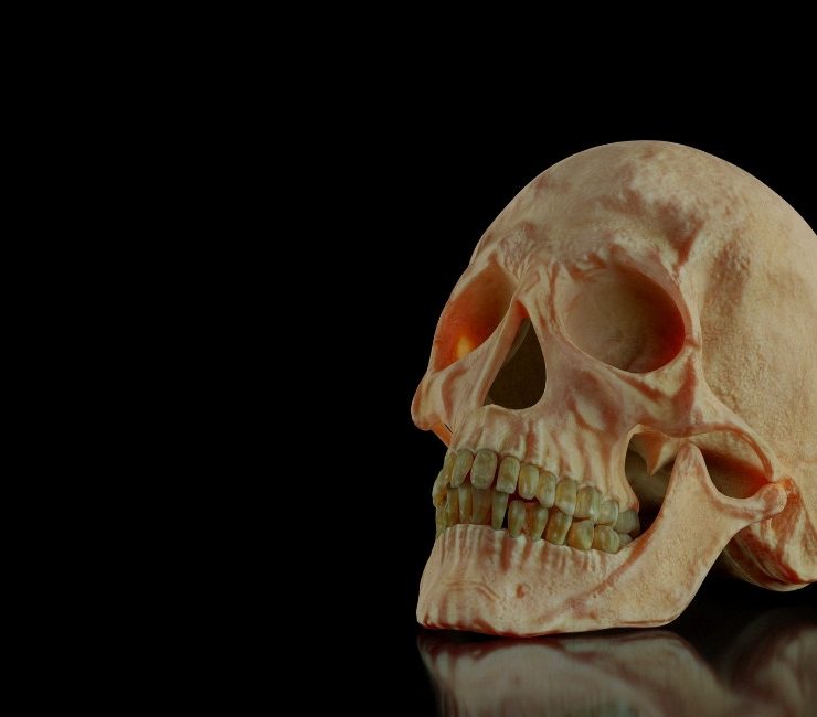 Dreaming of a Skull - Check Out These 55 Plots & their Interpretations