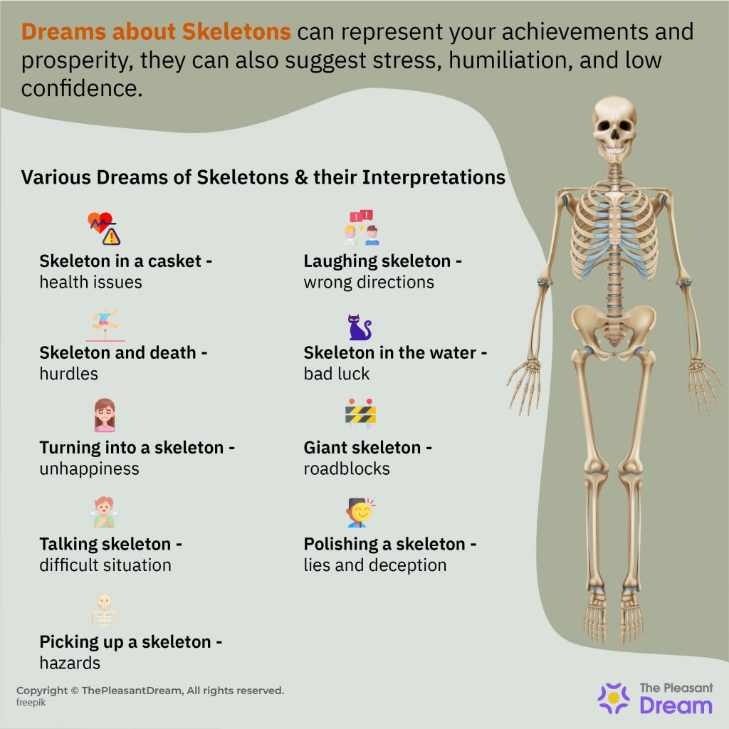 Dreams about Skeletons – 65 Types & Their Interpretations