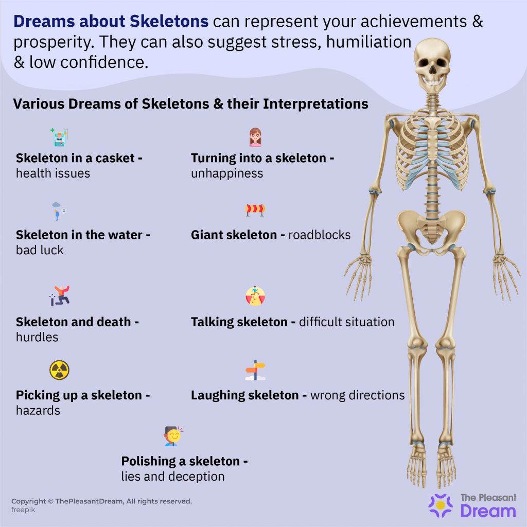 Dreams about Skeletons – 65 Types & Their Interpretations