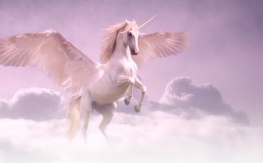 Dreams About Unicorns - Something Magical is Going to Happen?