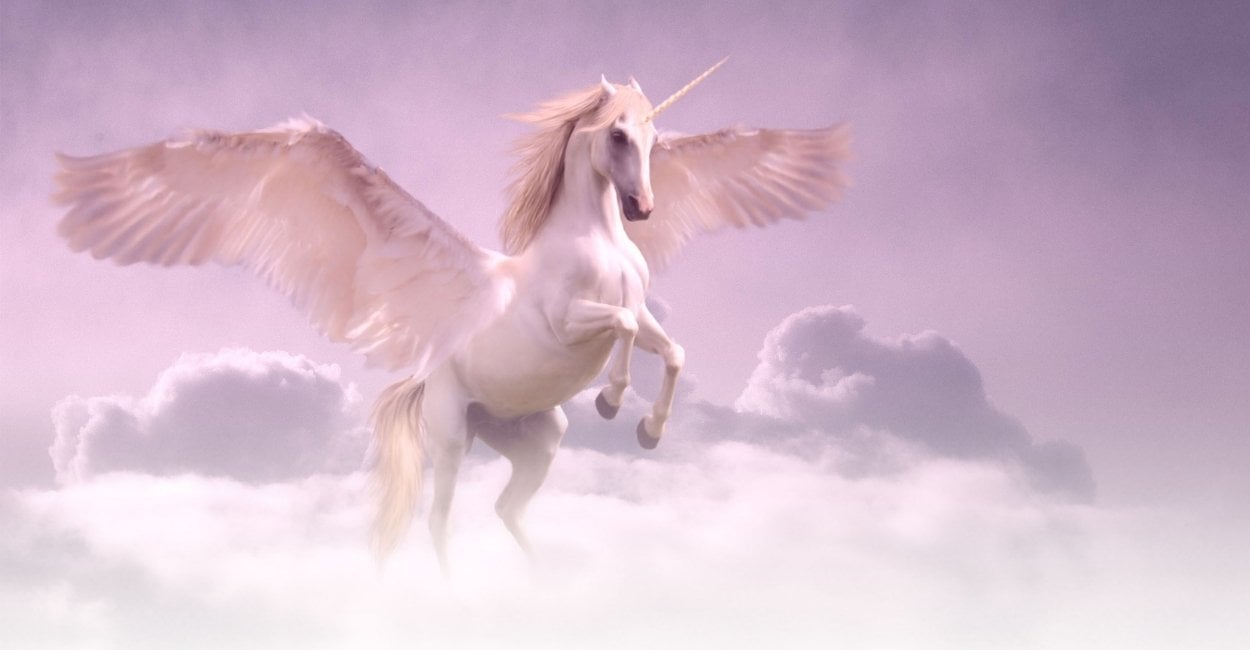 Dreams about Unicorns - 55 Interesting Scenarios & Interpretations