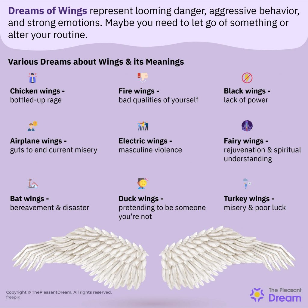 Dreams of Wings - Do They Mean Fly High Or Abrupt Failure?