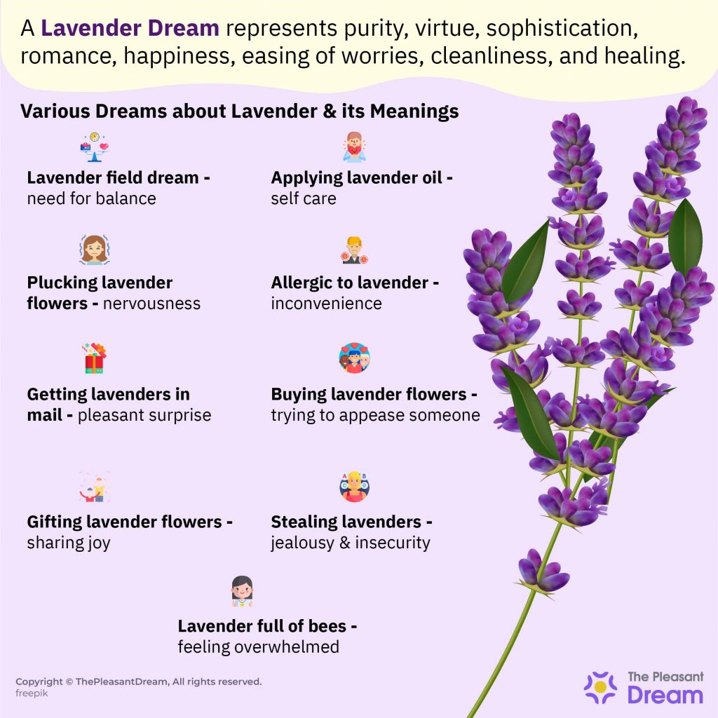 Lavender Dream Meaning - 65 Dreams and Their Interpretations