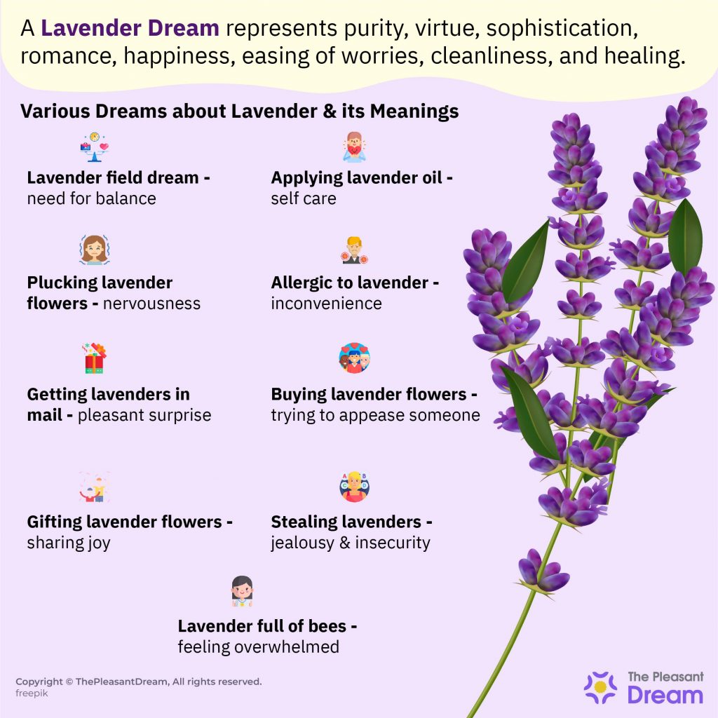 lavender-dream-meaning-is-it-associated-with-purity-and-romance