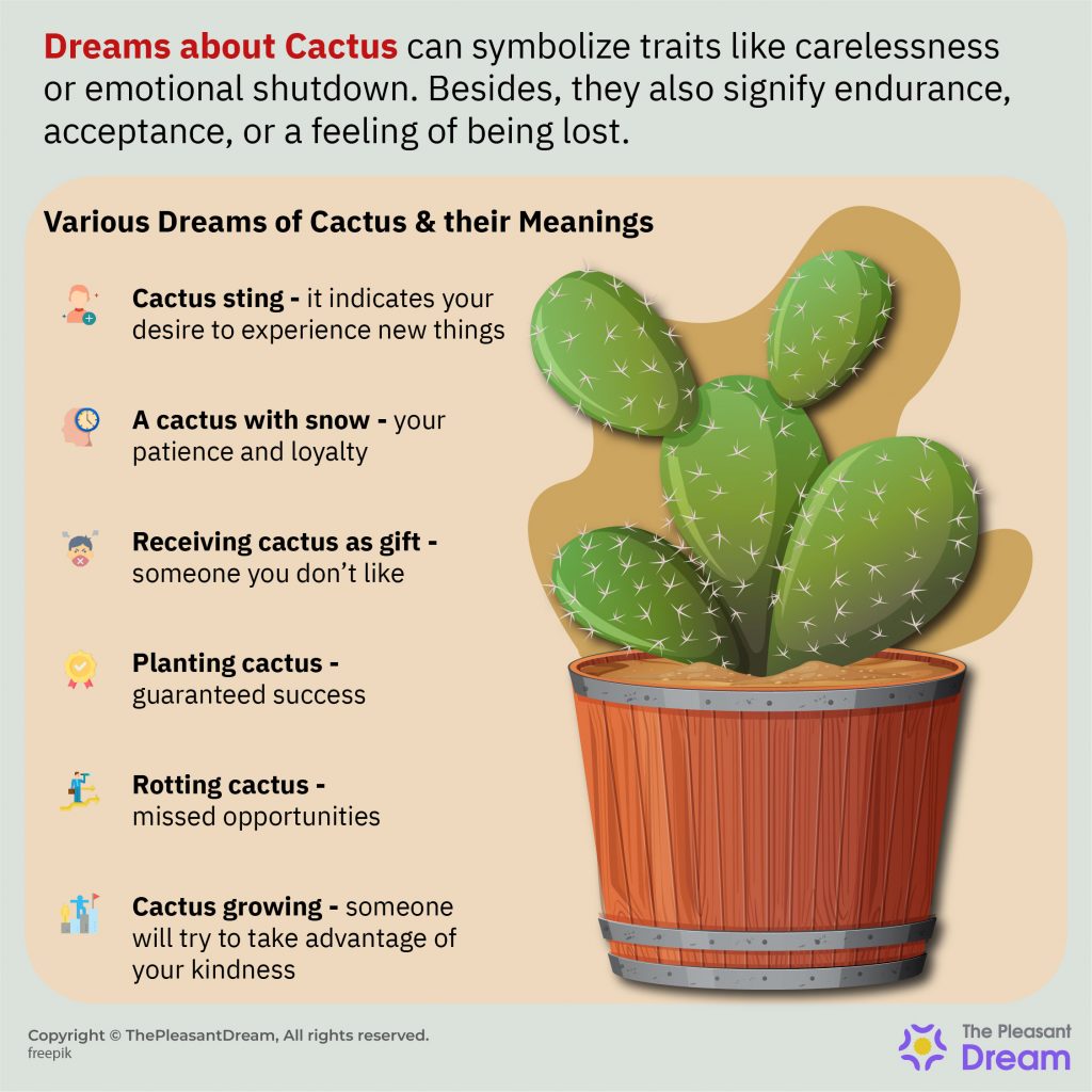 Dreaming about Cactus - Are You Being Careless