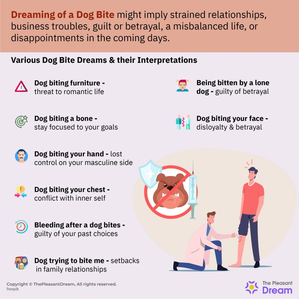 Dreaming of a Dog Bite – 40 Types & Their Interpretations