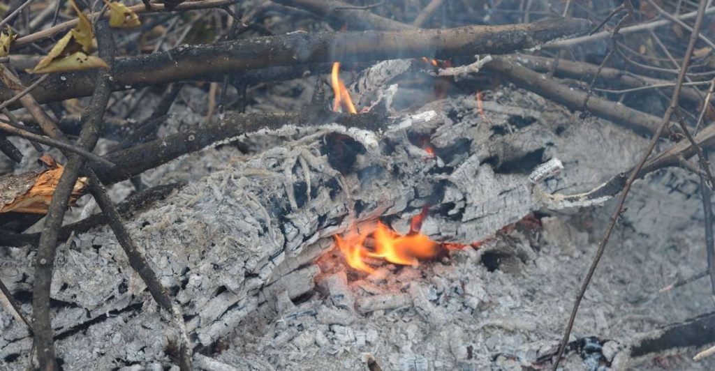 Dreaming About Ashes Has Something Burnt & Only Ashes are Left in