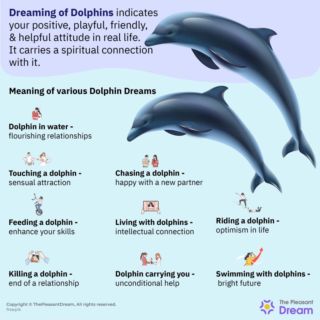 Dreaming of Dolphins - 55 Interesting Plots Along With their Interpretations