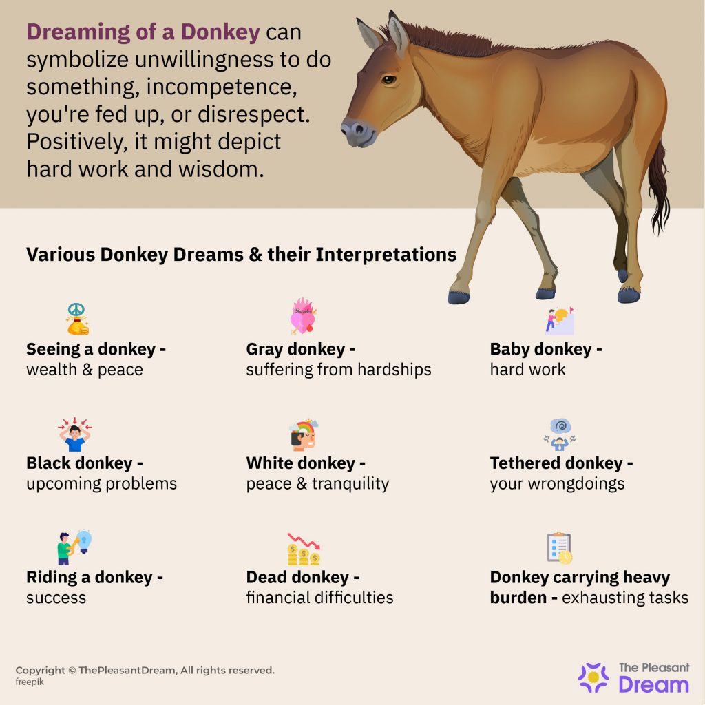 Dream about a Donkey – Various Types & Their Interpretations