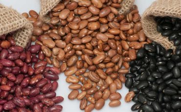 Dreams about Beans – Does It Symbolize Immortality and Growth?