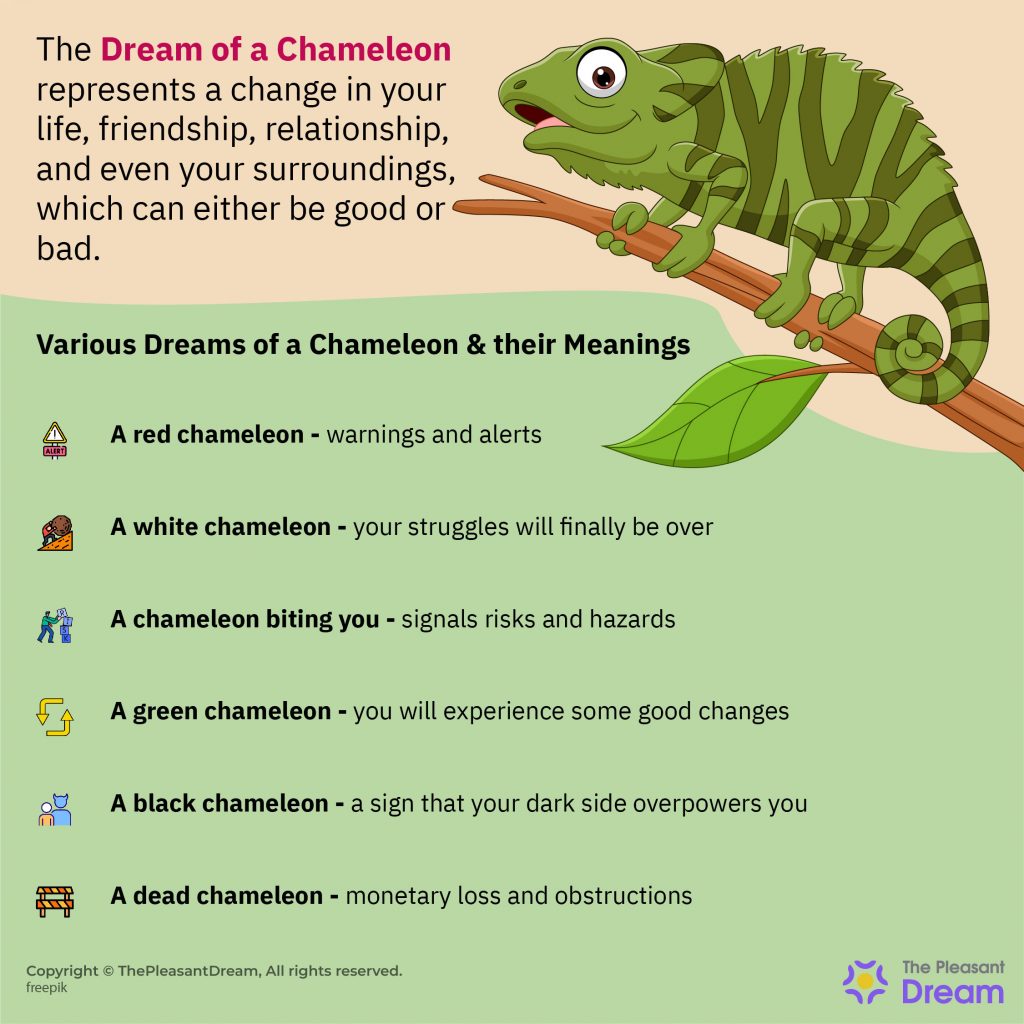 Dreams about Chameleons – Does It Imply the Need to Have a Clear Vision