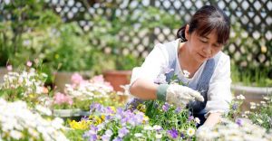 Dream about Gardening – Are You Craving for Recognition in Your Life?