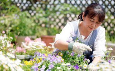 Dream about Gardening – Are You Craving for Recognition in Your Life?