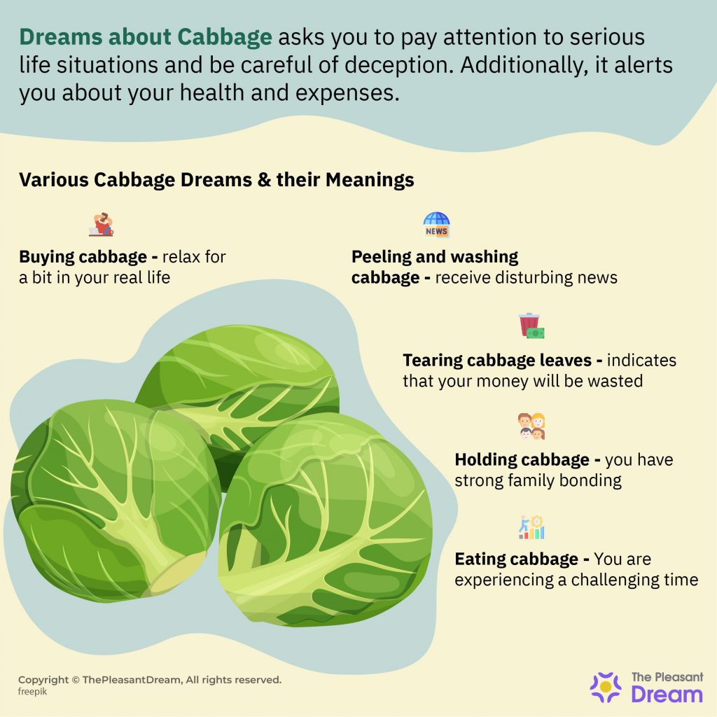 Dream about Cabbage - Various Plots & Interpretations