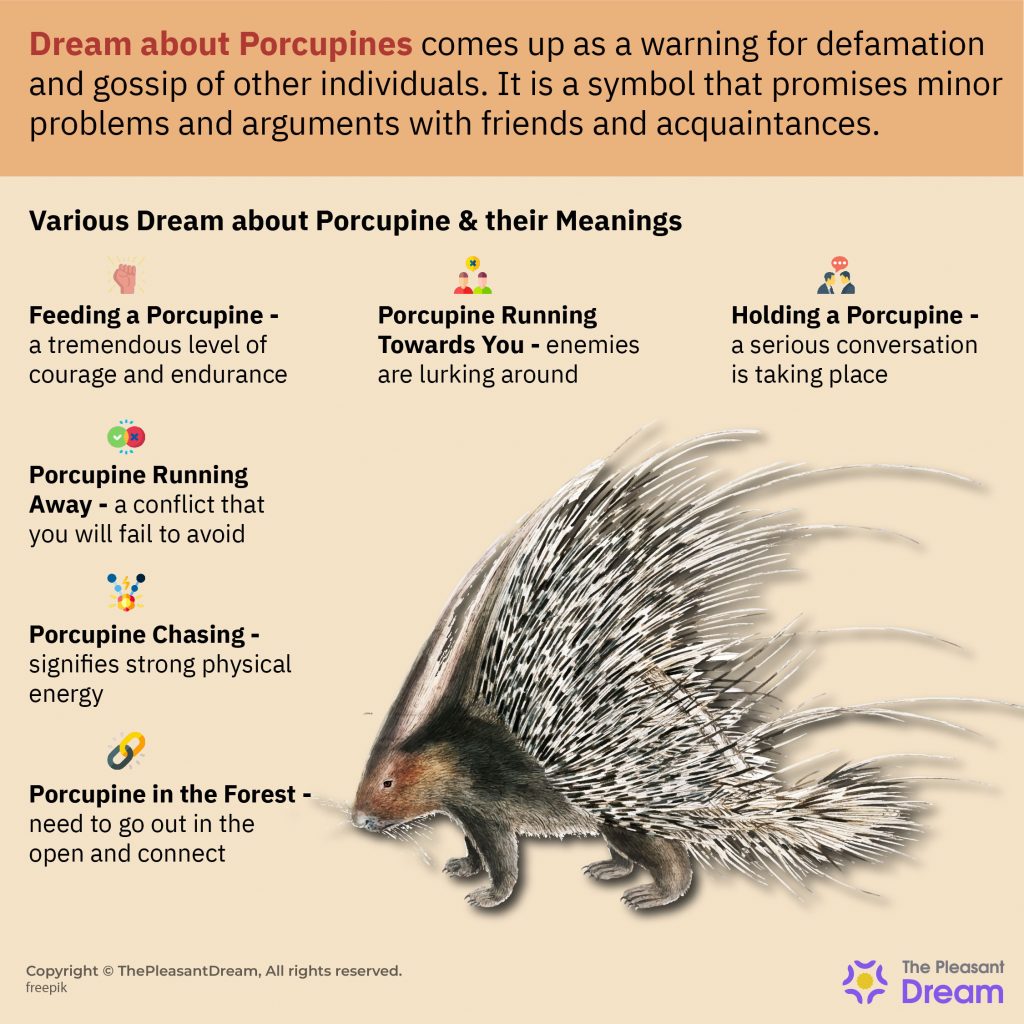 Dream about Porcupine - Various Themes & Interpretations