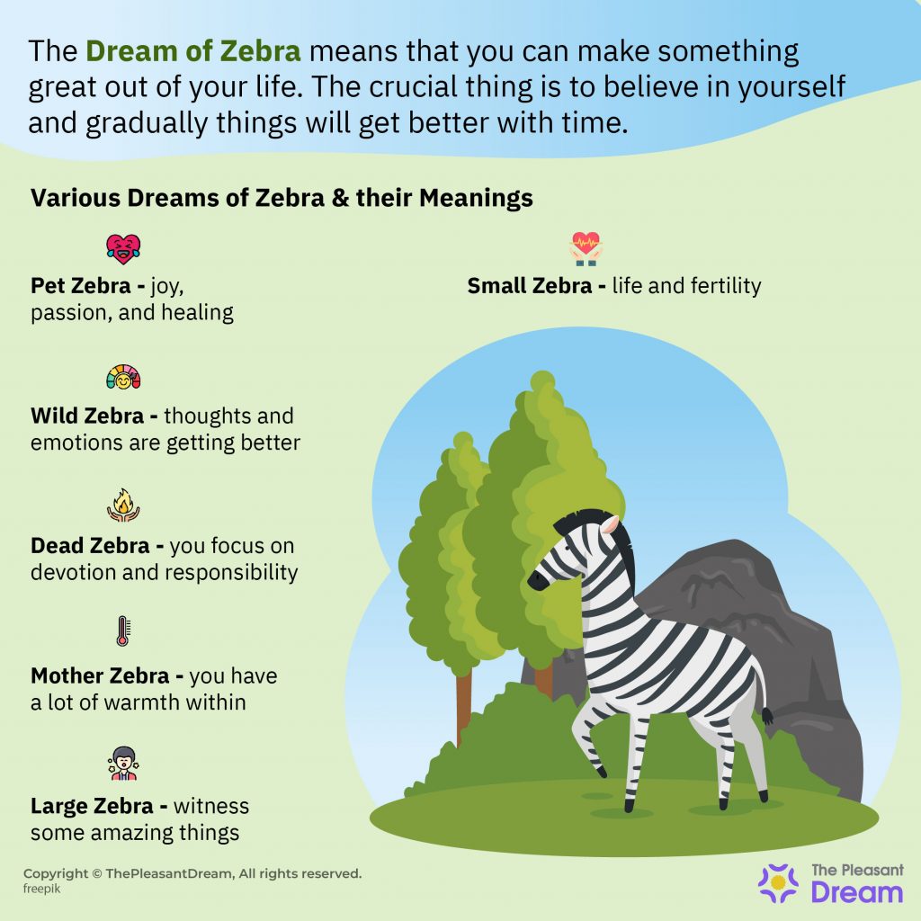 Dream of Zebra - Various Plots & Interpretations
