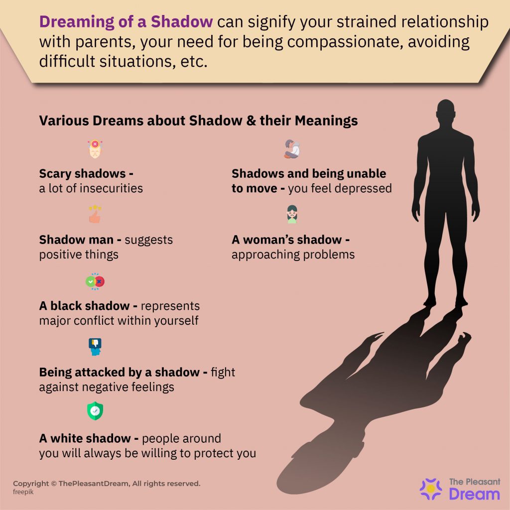 Dreaming of Shadow - Various Plots & Interpretations