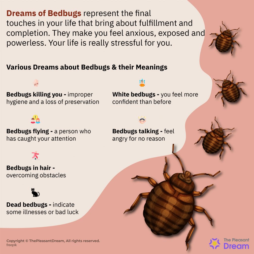 DREAM ABOUT BED BUGS Biblical Dream And Spiritual Meaning,, 52% OFF