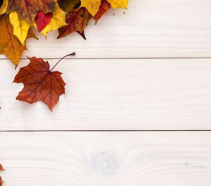 Dream of Autumn - 25 Scenarios and Their Interpretations