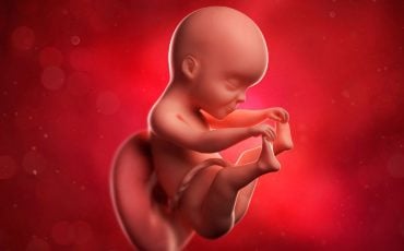 Dream of Fetus – Does It Mean New Beginnings & Ideas?