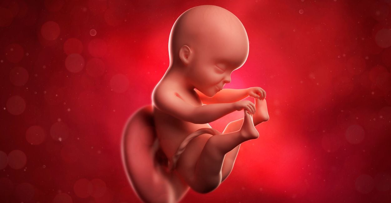 Dream of Fetus – 40 Scenarios and Interpretations