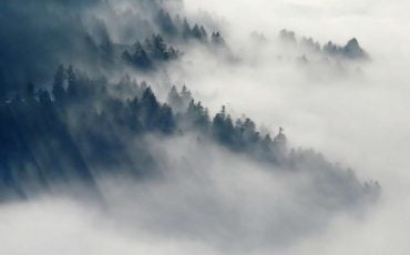 Dream of Fog - Does It Show Your Mind State with Unclear Surroundings?