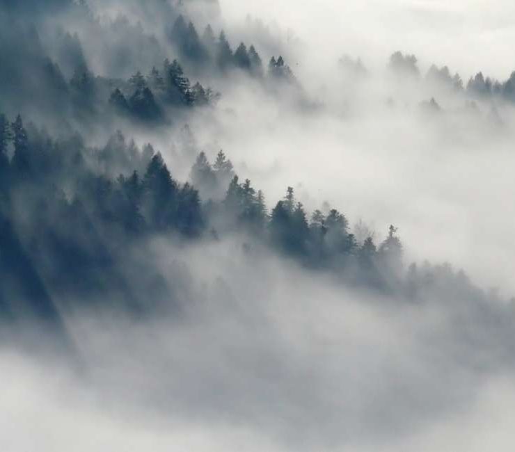 Dream of Fog - 42 Scenarios & Their Interpretations