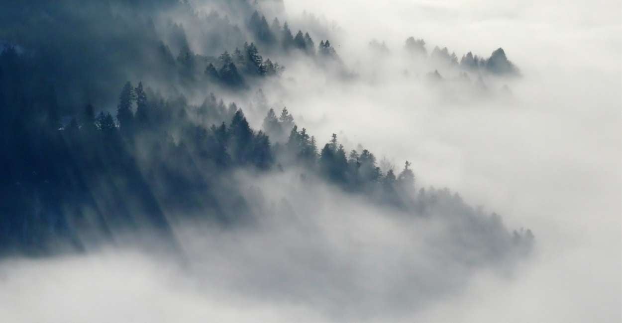 Dream of Fog - Does It Show Your Mind State with Unclear Surroundings?