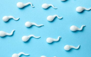 Dream of Sperm - Does It Imply Building Strong Relationships to Grow Your Influence?