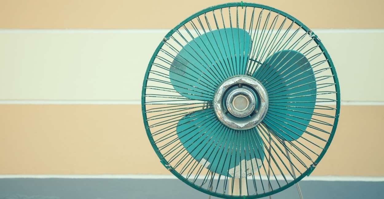 Dream of a Fan – What Does The Various Sequences Symbolize?