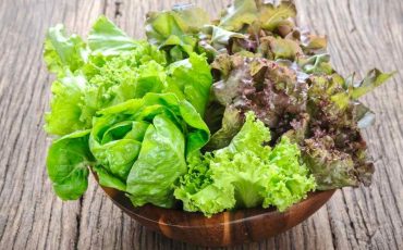 Dream about Lettuce – What It Signifies In The Dreamscape?