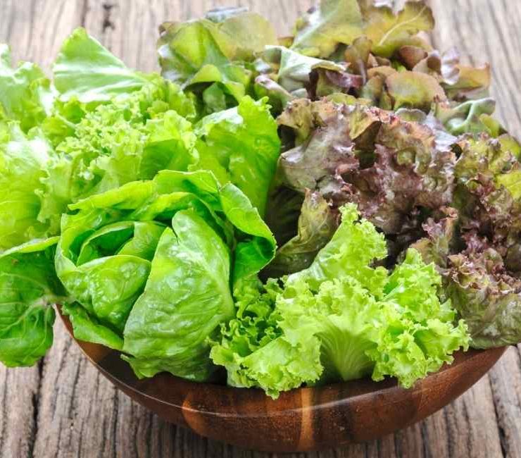 Dreaming about Lettuce – 29 Scenarios and Meanings