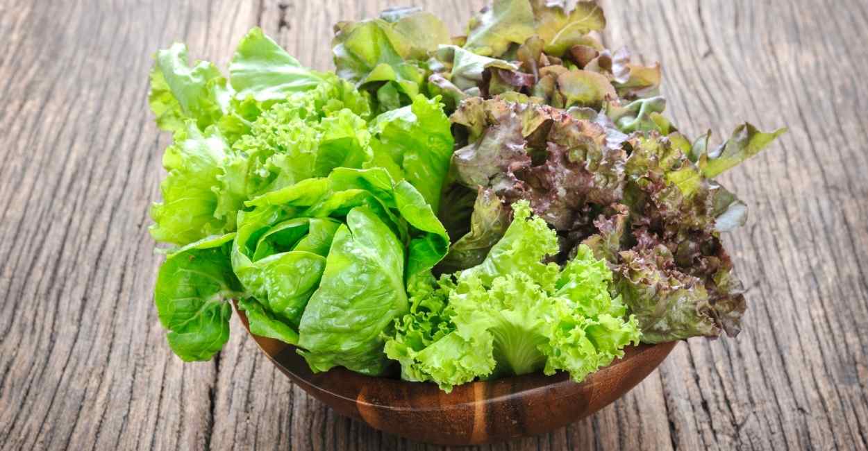 Dreaming about Lettuce – 29 Scenarios and Meanings