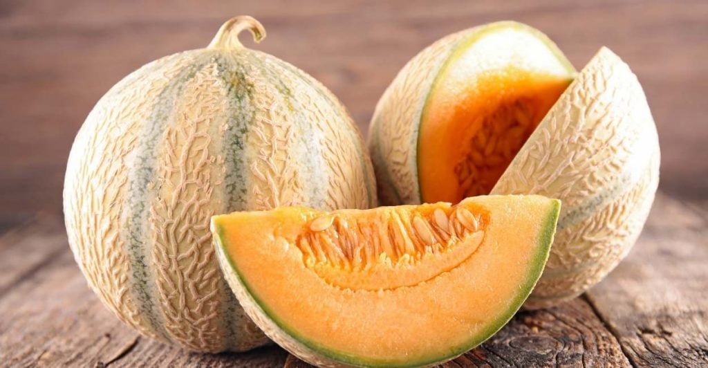 Dreaming of Melon – Are they Sweet like Melons? | ThePleasantDream