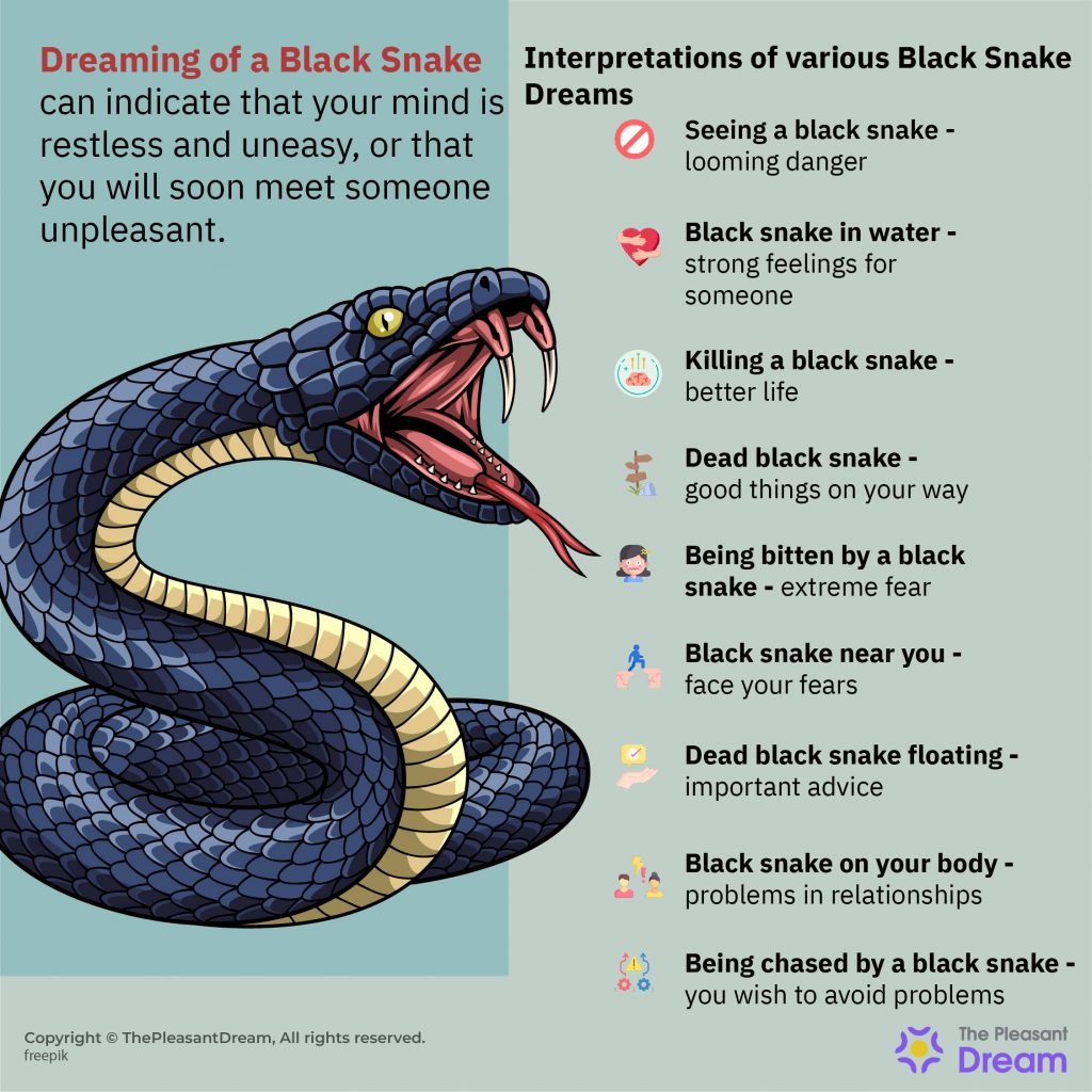 dreaming-of-a-black-snake-are-you-experiencing-restlessness-and