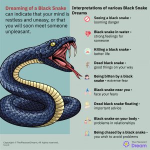 Dreaming of a Black Snake - Are You Experiencing Restlessness and ...