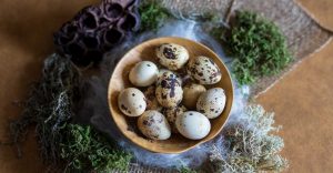 Dreaming of Quail Eggs - It Indicates Upcoming Good Times in Your Life