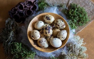 Dreaming of Quail Eggs - It Indicates Upcoming Good Times in Your Life