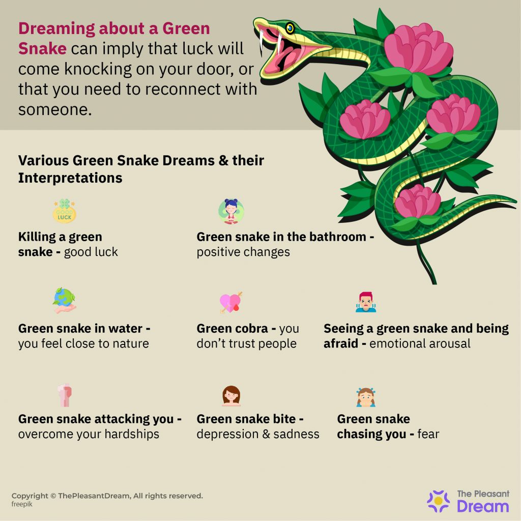 Green Snake in Dream - Various Types and Interpretations