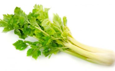 Dream Of Celery - Does It Carry A Positive or Negative Sign?