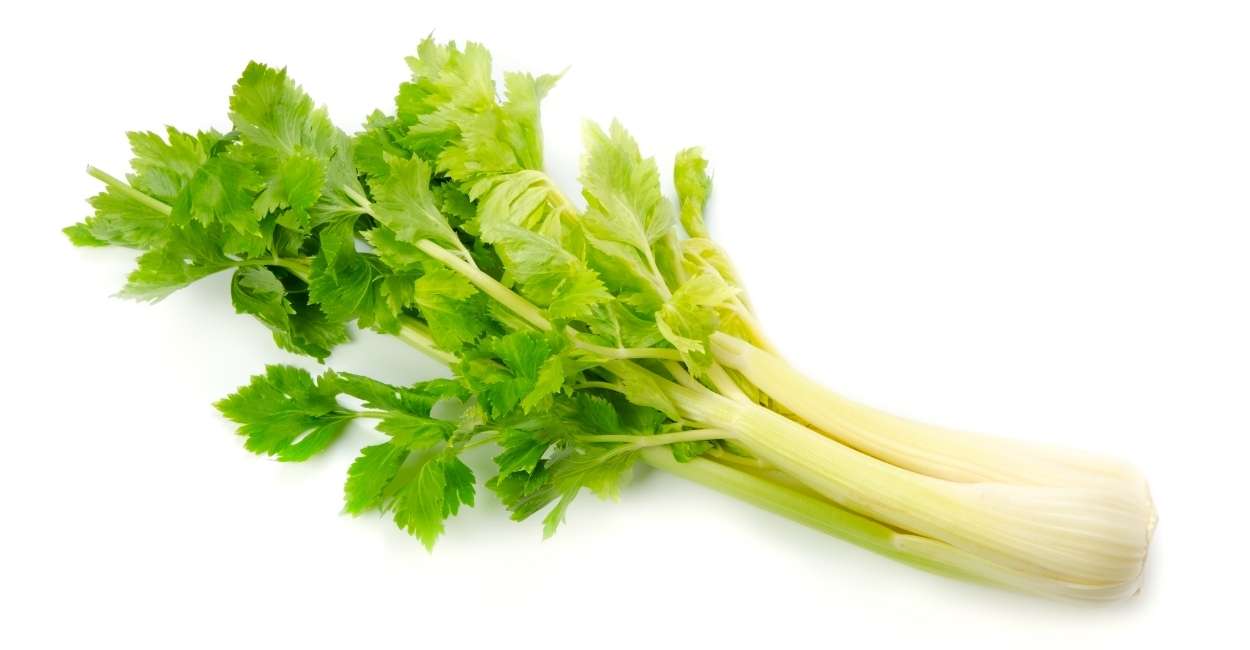 Dream Of Celery - Does It Carry A Positive or Negative Sign?