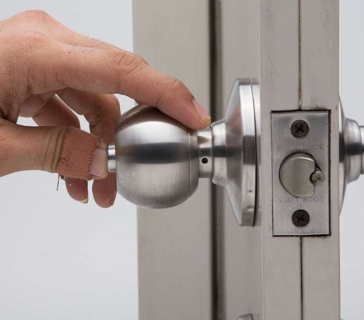 Dreaming of Birds 124 Dream Scenarios and Meanings ThePleasantDream