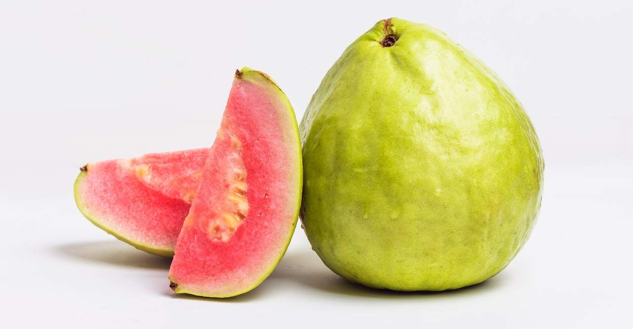 Dream of Guava - Are they as tasty as Guava? | ThePleasantDream