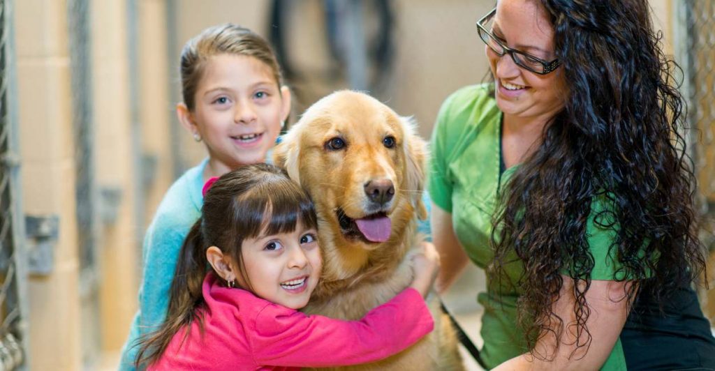 Dream Of Adopting A Dog You Hate Confronting The Truth