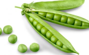 Dream Of Peas – Are You Overwhelmed With Your Workload?